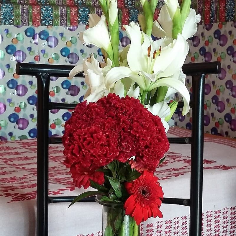 Gifts on Ocassion